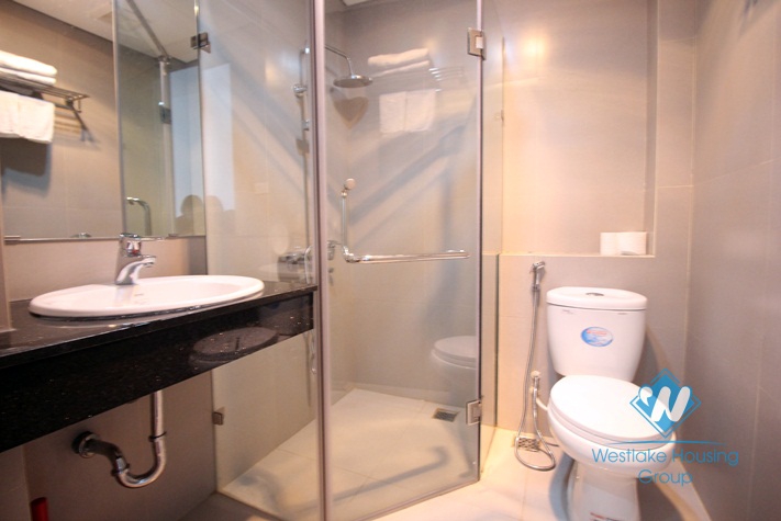 Nice 1 bedroom apartment for rent on Tran Duy Hung street
